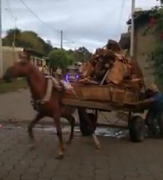 Graban el momento en que dos diriambinos maltratan a un caballo que llevaba exceso de carga