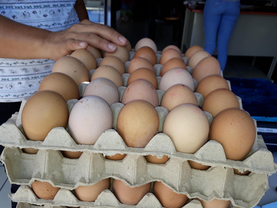 Precio en la cajilla de huevos se cotiza a 150 córdobas 