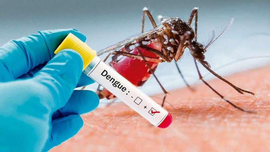 Niña de 4 años, victima numero 27 por dengue 
