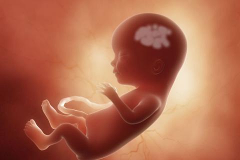 Un feto es encontrado abandonado debajo de un puente/imagen de referencia