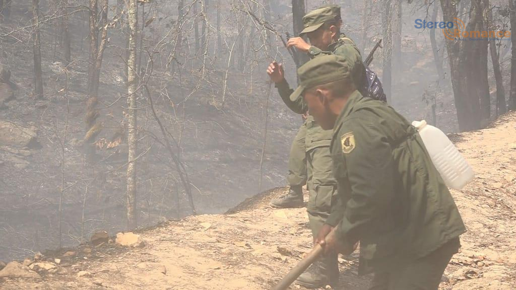 Controlan incendio que consumió 770 hectáreas de bosque en 9 días, en Madriz