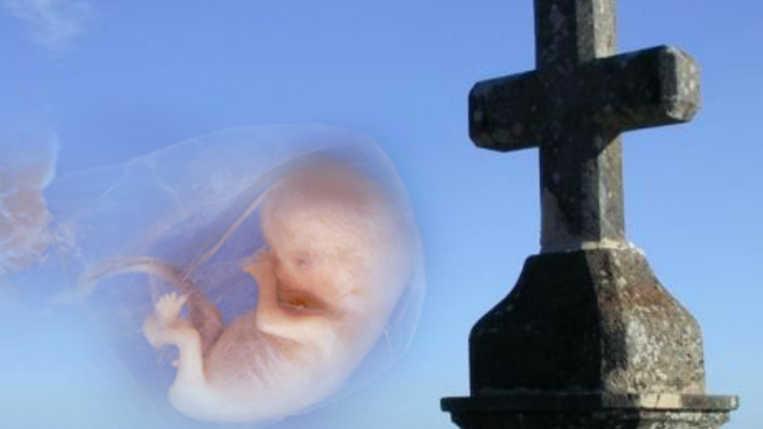 Iglesia Católica: el aborto no debe estar en agenda electoral, la vida no se negocia