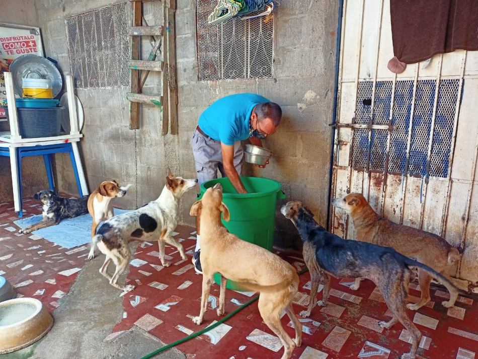 Un matrimonio que cuida y rescata perros callejeros en Granada 