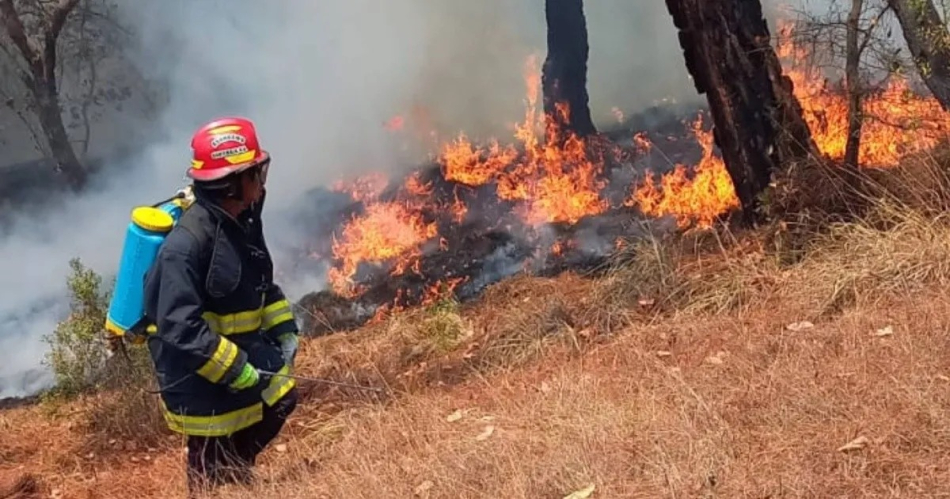 Tragedia: 4 mujeres y una bebe mueren en incendio forestal