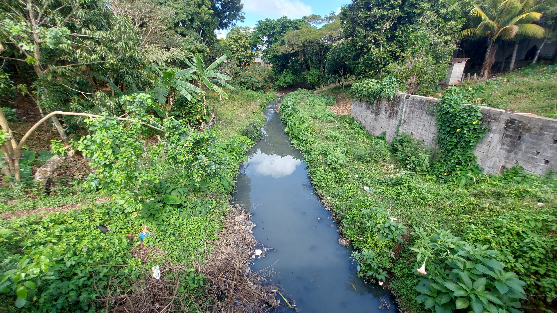 La imagen muestra el cauce natural convertido en arroyo, atestado de basura y agua sucia. 