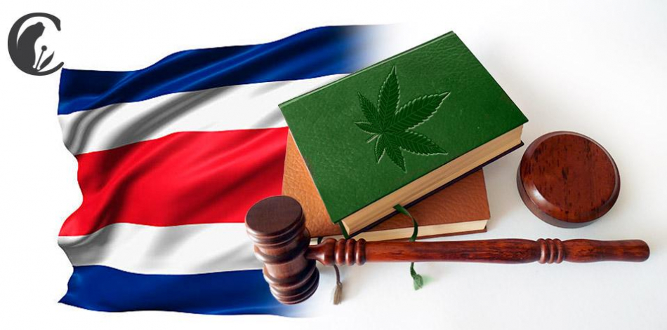 Costa Rica podría legalizar la producción de marihuana