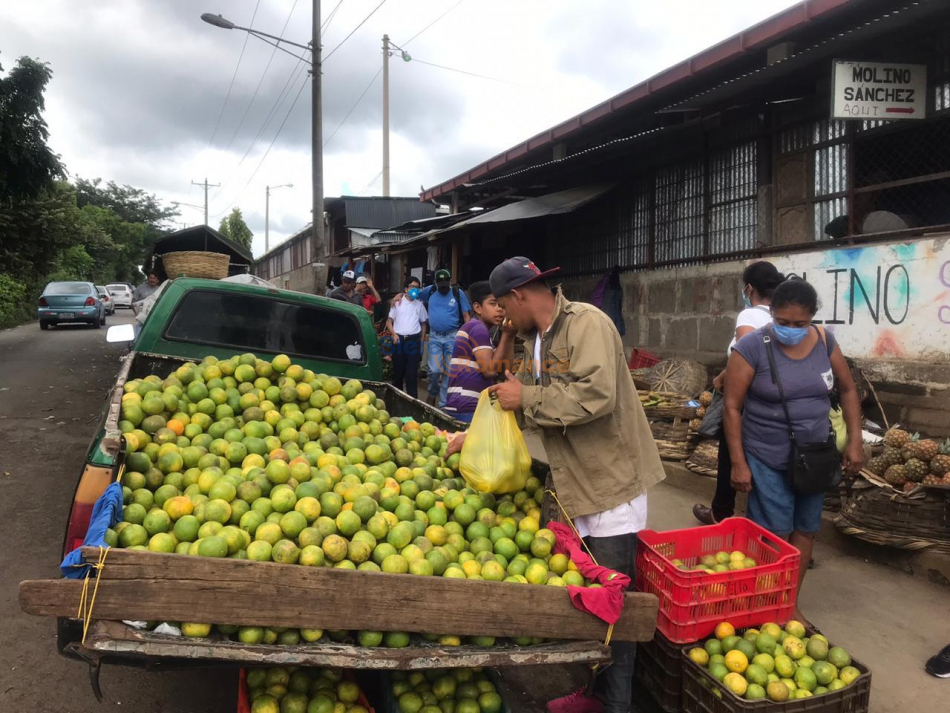 Naranjas en flota, pero no hay compradores en el mercado de Jinotepe