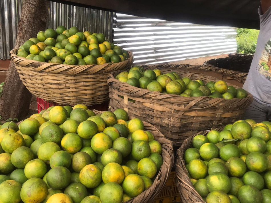 naranjas-en-mercado.jpg