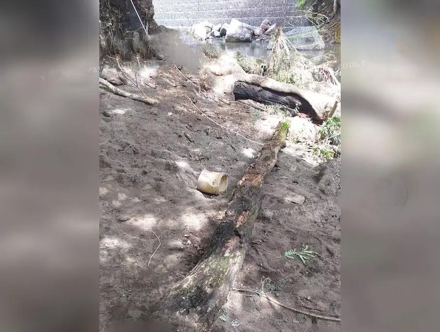 Muere un niño de 6 años al caerle una rama, en Boaco