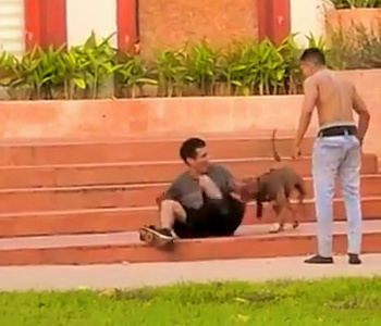 Delincuente es atacado por un perro pitbull cuando intentaba robar una motocicleta 