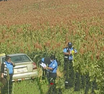Policía captura a sospechoso de haber asesinado a taxista en un cultivo de trigo 