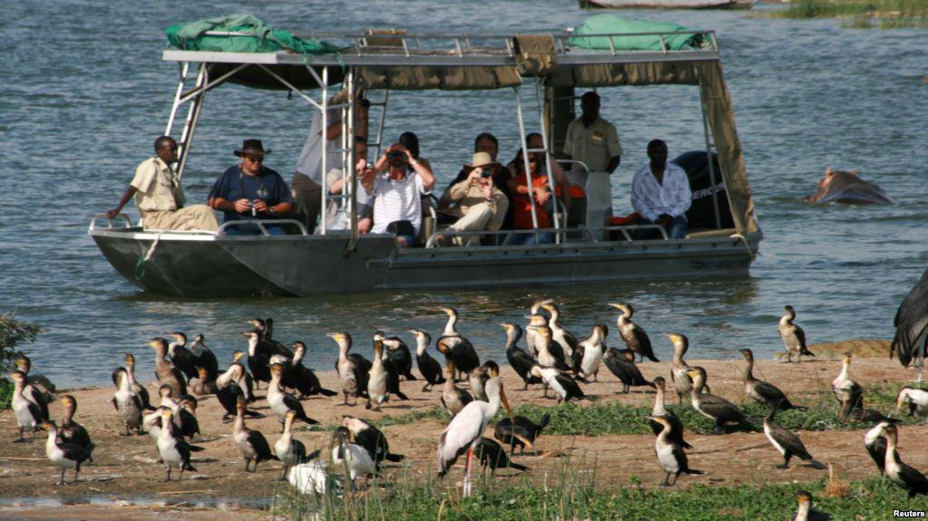 Los secuestros en las zonas naturales protegidas de Uganda son poco frecuentes. El parque nacional Queen Elizabeth, en el suroeste del país, es un popular destino para los aficionados a los safaris.