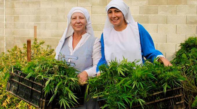 Mujeres que cultivan marihuana en California no son monjas católicas